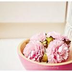 Pink Carnation Flowers / Pack