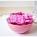 30 Hydrangea Petal Bright Pink / Pack