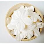 30 Scrapbooking Flowers Petal White / Pack