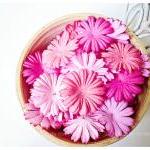 30 Mixed Pink Medium Daisy Flowers Petal / Pack