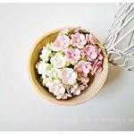 30 Mixed Pink & White Flowers / Pack